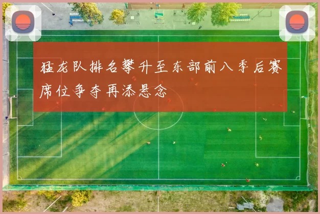 猛龙队排名攀升至东部前八季后赛席位争夺再添悬念