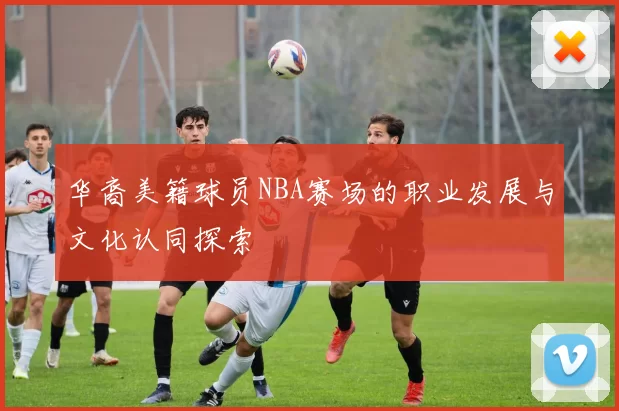 华裔美籍球员NBA赛场的职业发展与文化认同探索