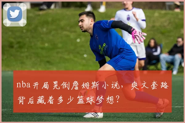 nba开局晃倒詹姆斯小说，爽文套路背后藏着多少篮球梦想？